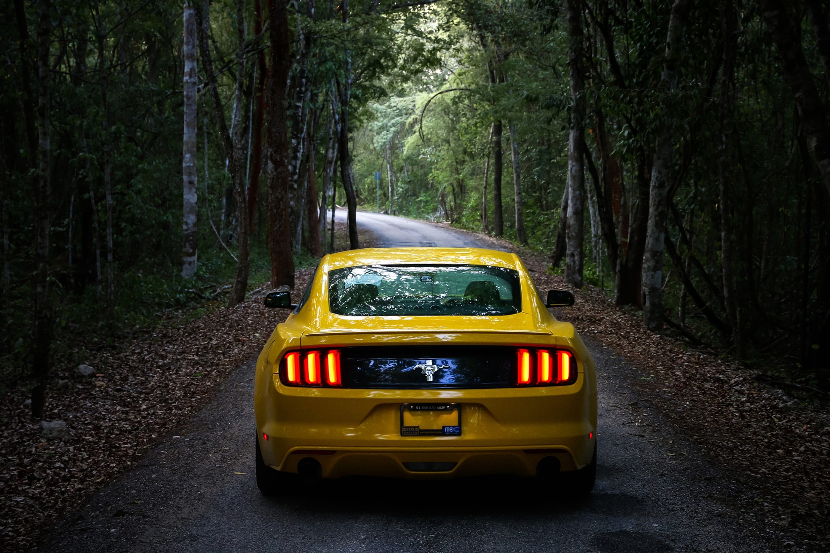 Ford Mustang VI z tyłu